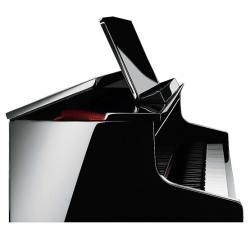 Цифровое фортепиано с клавиатурой К. Бехштейн CASIO GP-500BP