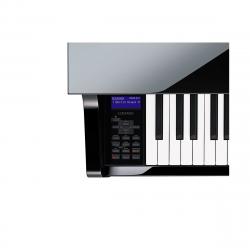 Цифровое фортепиано CASIO GP-510BP