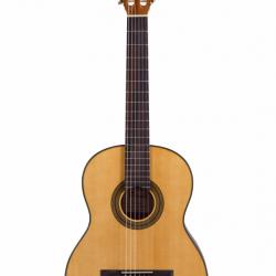 Гитара классическая 4/4. Cочетание правильно подобранных материалов с современными технологиями производства и пристальным контролем качества квалифицированных мастеров. В результате мы получаем действительно качественный инструмент с приятной ценой, отвечающий всем характеристикам традиционной испанской гитары. PRIMA DSCG603