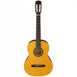 Классическая гитара, размер 3/4 ARIA PRO II FIESTA FST-200-58 N