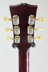 Электрогитара полуакустическая подержанная SAMICK EG1935 SA-1