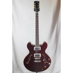 Электрогитара полуакустическая подержанная SAMICK EG1935 SA-1