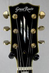 Электрогитара подержанная GRASS ROOTS by ESP G-LP-50C BLK