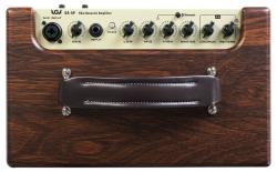 Гитарный комбоусилитель, портативный, 45Вт AGA GA-5P