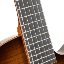 Электрогитара, нейлоновые струны, санберст CORT Sunset-Nylectric-DLX-TSB