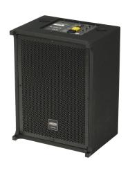 Сабвуфер, активный, 300Вт DSPPA DSP1500S