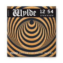 Zakk Wylde Комплект струн для акустической гитары, 12-54 DUNLOP ZWAP1254
