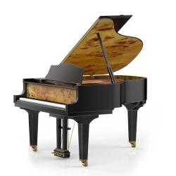 Рояль акустический, черный WENDL & LUNG VG180BK