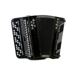 Баян ученический двухголосный 