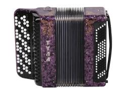 Баян ученический двухголосный 