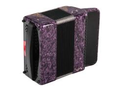 Баян ученический двухголосный 