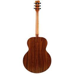 Акустическая гитара, изготовленная из композитного дерева, с ровным звучанием, высочайшей надежностью и устойчивостью к перемене климата. ENYA EA X1