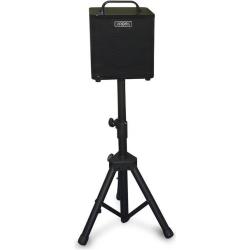 Комбоусилитель для акустической гитары AROMA AG-40A BK