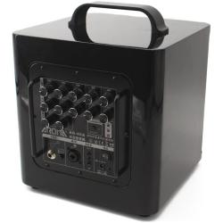 Комбоусилитель для акустической гитары AROMA AG-40A BK