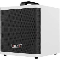 Комбоусилитель для акустической гитары AROMA AG-40A WH