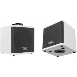 Комбоусилитель для акустической гитары AROMA AG-40A WH