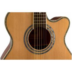 Гитара акустическая в наборе FLIGHT F-230 NAT PACK