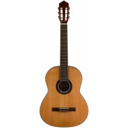 Гитара классическая в наборе FLIGHT C-120 NAT PACK