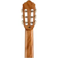 Гитара классическая в наборе FLIGHT C-120 NAT PACK