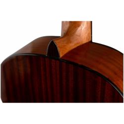 Гитара классическая в наборе FLIGHT C-120 SB PACK