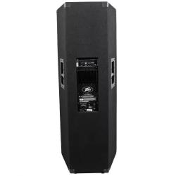 Акустическая система PEAVEY PV 2015D Enclosure