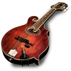 Звукосниматель для мандолины LR BAGGS Radius-M