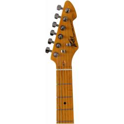 Электрогитара PEAVEY Raptor Custom MRG