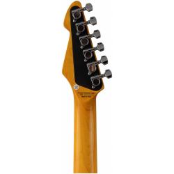 Электрогитара PEAVEY Raptor Custom MRG