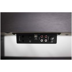 Цифровое фортепиано, 88 динамических молоточковых... ARTESIA DP-10e Rosewood