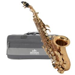 Саксофон сопрано Bb изогнутой формы ROY BENSON SG-302