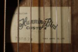 Акустическая гитара подержанная TOKAI Humming Bird F-150 Custom 1973