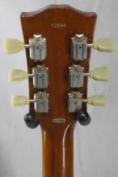 Электрогитара подержанная BACCHUS BLS-700FM HB Live Road 2012