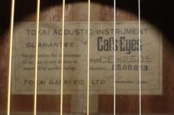 Акустическая гитара подержанная CATS EYES CE-250 2500073