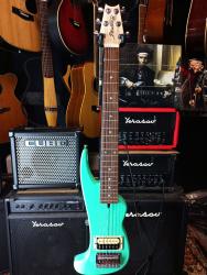 Компактная электрогитара для путешествий SHAMRAY Рыбка Тынку N025182