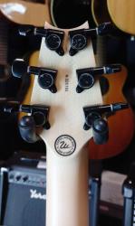 Компактная электрогитара с корпусом из смолы с шишками SHAMRAY Рыбка Тынку N025183