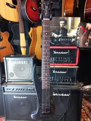 Компактаная электрогитара для путешествий SHAMRAY Рыбка Тынку N025188