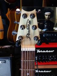 Компактная электрогитара для путешествий SHAMRAY Рыбка Тынку N025184