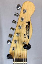 Электрогитара подержанная BACCHUS BTE-250R