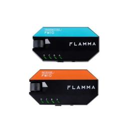 Беспроводной передатчик и приемник для гитары FLAMMA FW10