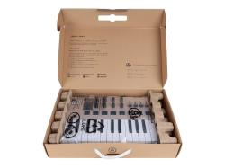 MIDI клавиатура 25 клавиш, 8 энкодеров, 8 RGB пэдов, 8 фейдеров, дисплей, сенсорные регуляторы Pitch/Modulation, MIDI-выход, 1/4