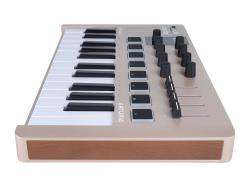 MIDI клавиатура 25 клавиш, 8 энкодеров, 8 RGB пэдов, 8 фейдеров, дисплей, сенсорные регуляторы Pitch/Modulation, MIDI-выход, 1/4