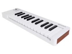 MIDI клавиатура 25 клавиш, чувствительных к скорости нажатия, сенсорные полосы pitch и modulation, режим игры аккордами, разъем для подключения педали, type-c, ПО: Analog Lab Intro, Ableton Live Lite. Цвет - белый. ARTURIA MicroLab 3 White