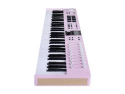 MIDI клавиатура 61 клавиша, LCD дисплей, 9 энкодеров, 8 пэдов, 9 фейдеров, 12 кнопок управления, колеса высоты тона и модуляции, 1/4