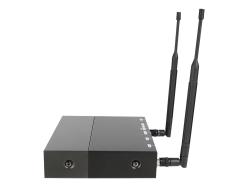 Микрофонная радиосистема UHF 650 - 758 MHz, подавитель обратной связи, цифровая модуляция, LCD дисплей, DSP, ручной микрофон - 2 шт. AXELVOX DX800FK