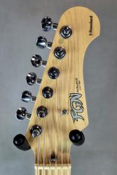 Электрогитара подержанная FGN (FUJIGEN) J-Standard JST-5M 2009