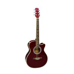 Фолк гитара с металлическими струнами, верхняя дека ель, корпус агатис, цвет красное вино, 39