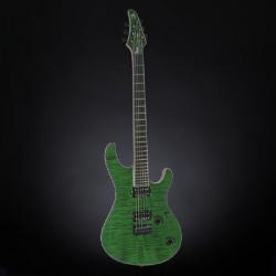 Электрогитара с кейсом, DiMarzio Air Norton MAYONES Regius 6 T-DGRN-G