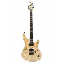 Электрогитара с кейсом, BK Aftermath MAYONES Regius 6 T-JNS-BLK-G