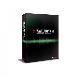 Образовательная версия. Программа для редактирования многоканального аудио, мастеринга и создания аудио-CD, DVD. STEINBERG WaveLab Pro 9 EE