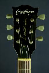 - GRASS ROOTS by ESP Les Paul Standard